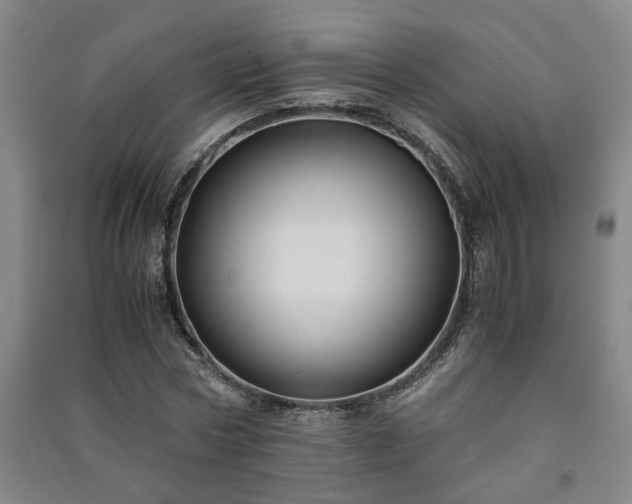 X0000091220778200708161655