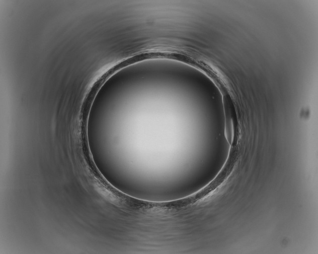 X0000091220779200708161655