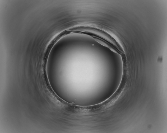 X0000091220783200708161655