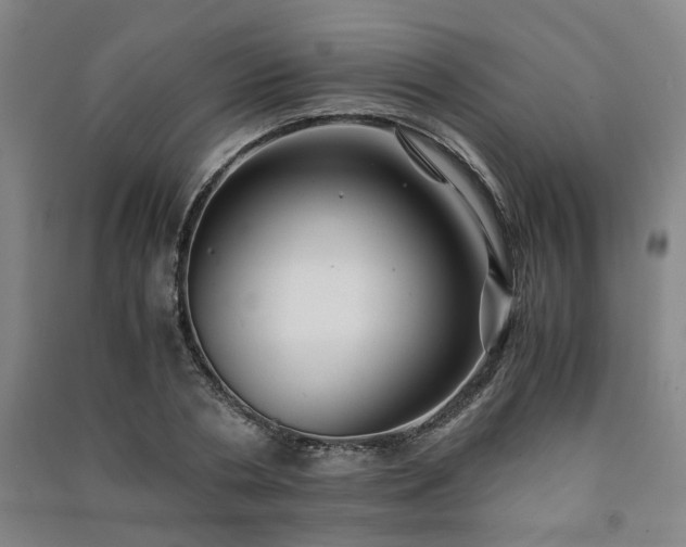 X0000091220786200708161655