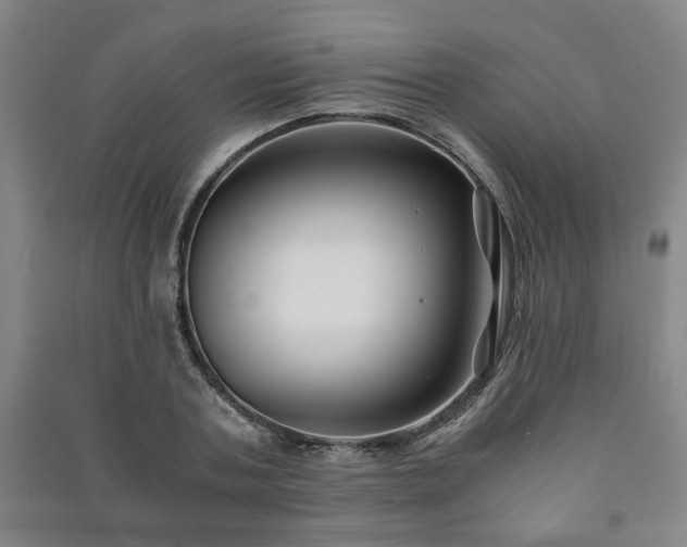 X0000091220787200708161655