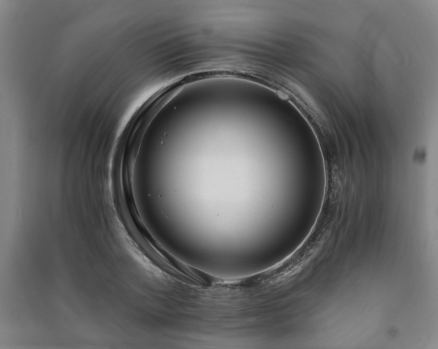 X0000091220788200708161655