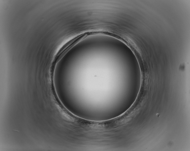 X0000091220789200708161655