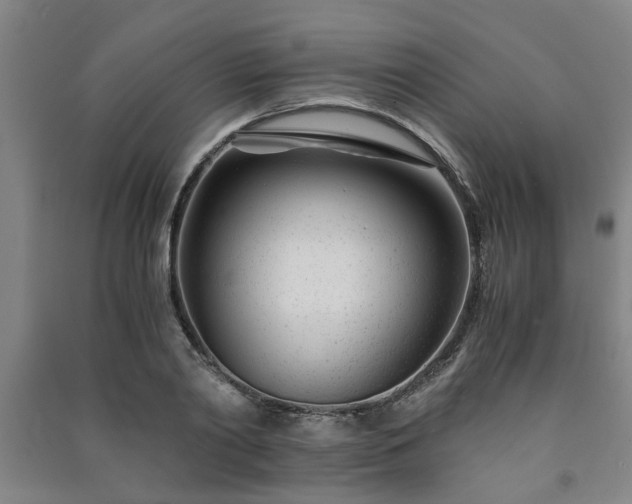 X0000091220790200708161655