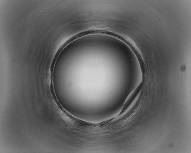 X0000091220791200708161655