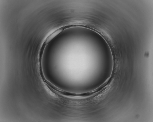 X0000091220792200708161655