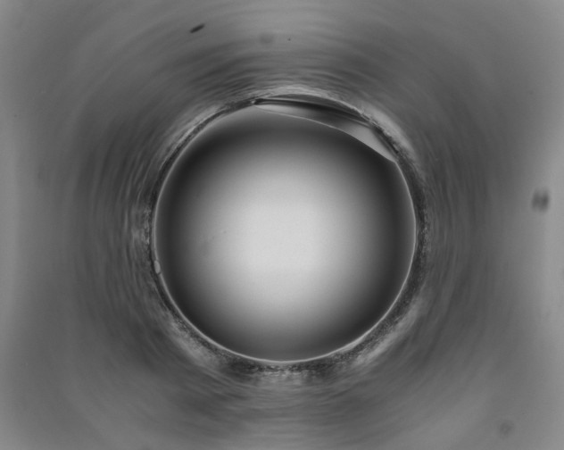 X0000091220793200708161655