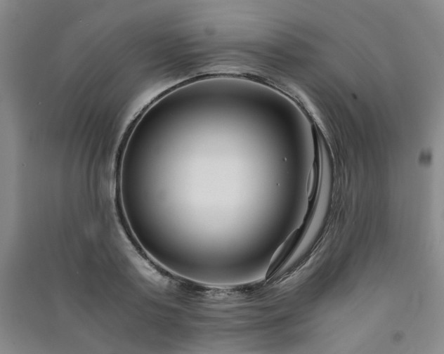 X0000091220795200708161655