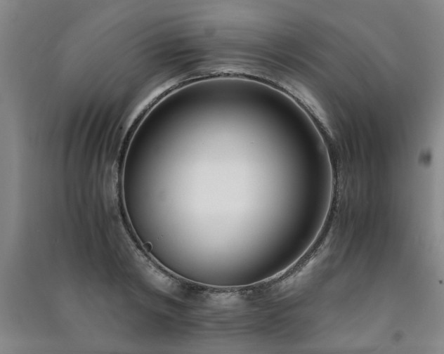 X0000091220798200708161655