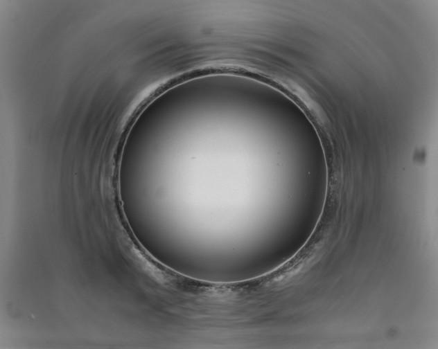 X0000091220799200708161655