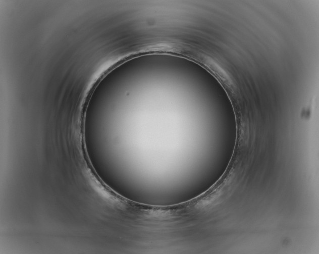 X0000091220800200708161655