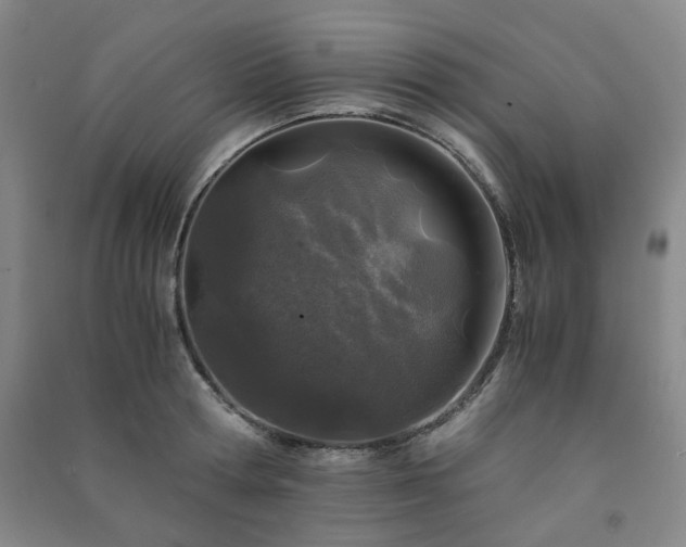 X0000091220802200708161655