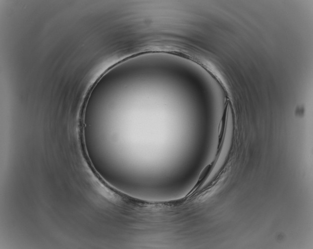 X0000091220803200708161655