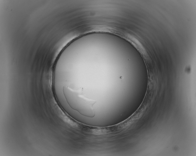 X0000091220804200708161655