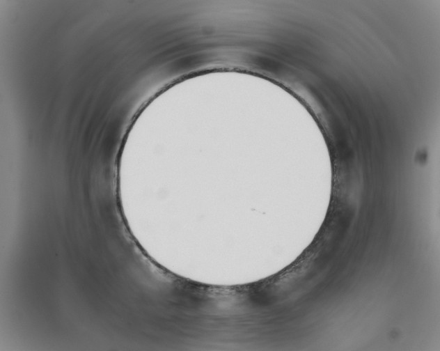 X0000091220807200708161655