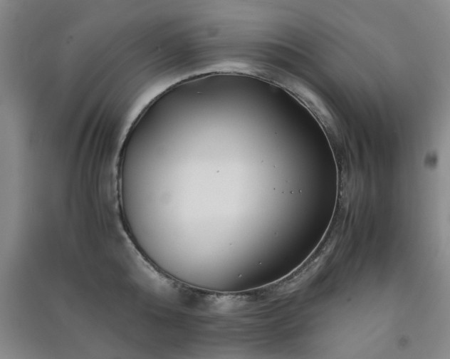 X0000091220808200708161655