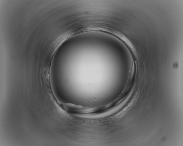 X0000091220809200708161655