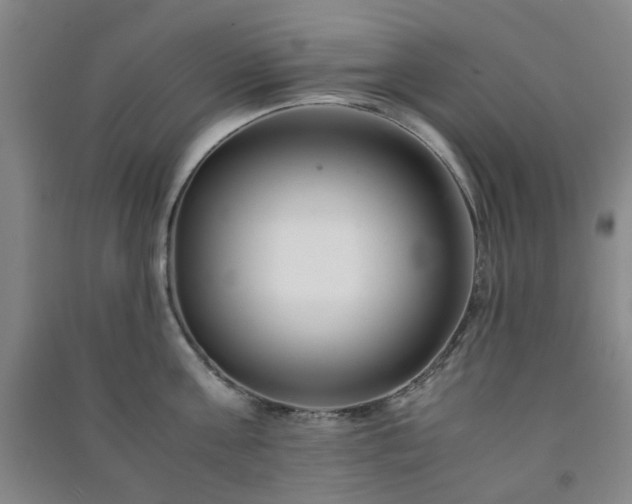 X0000091220811200708161655