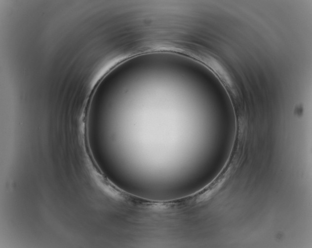 X0000091220814200708161655