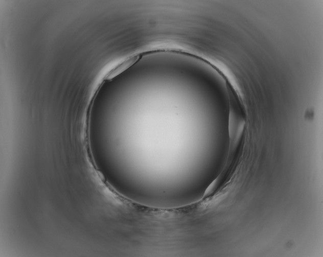 X0000091220815200708161655