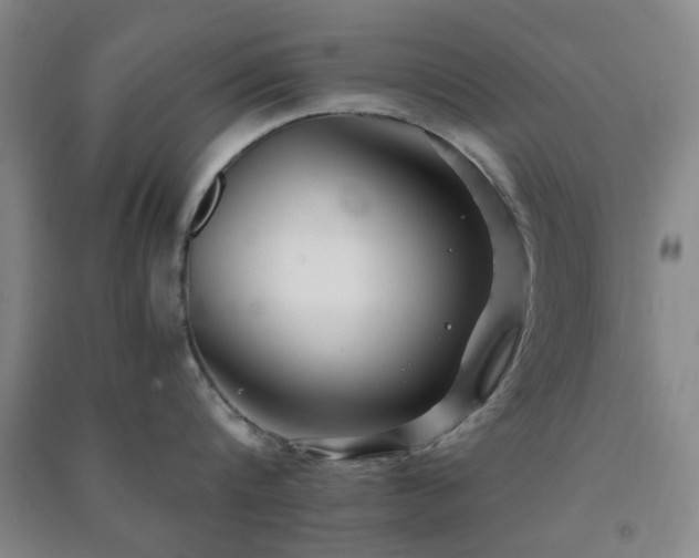 X0000091220816200708161655