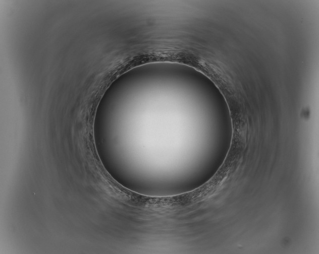 X0000091220817200708161654