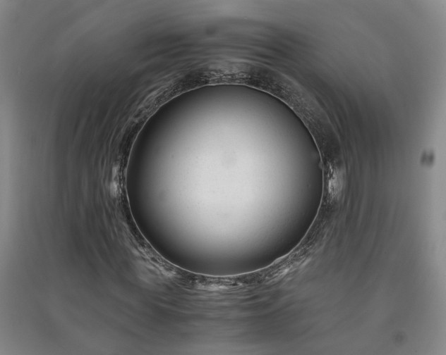 X0000091220819200708161654