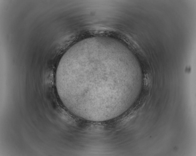 X0000091220820200708161654