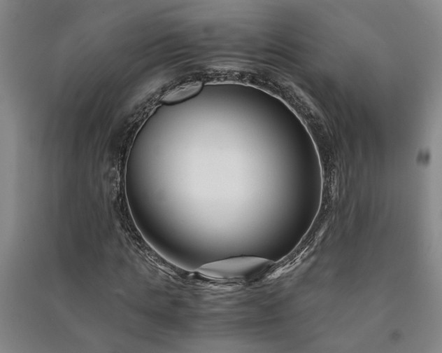 X0000091220821200708161654