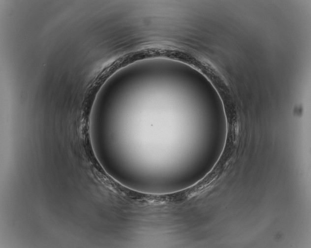 X0000091220822200708161654