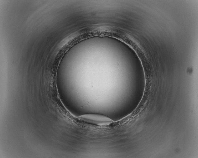 X0000091220823200708161654