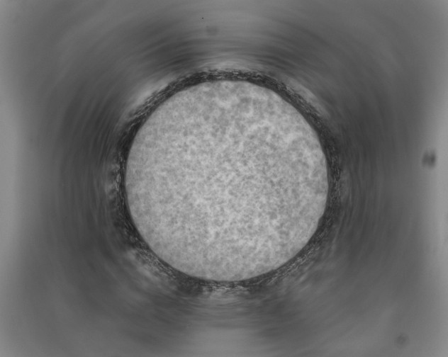 X0000091220824200708161654