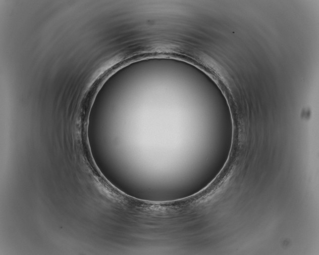 X0000091220827200708161654