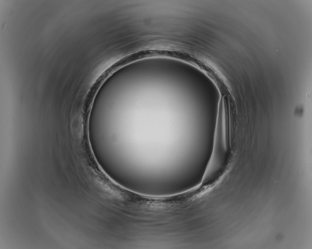 X0000091220829200708161654