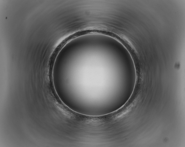 X0000091220830200708161655