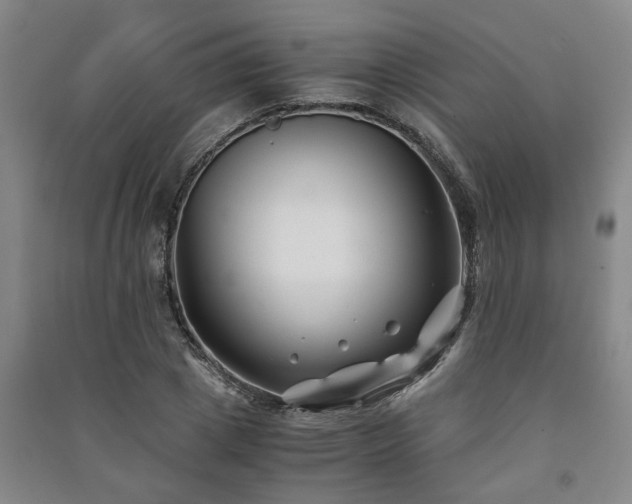 X0000091220833200708161655