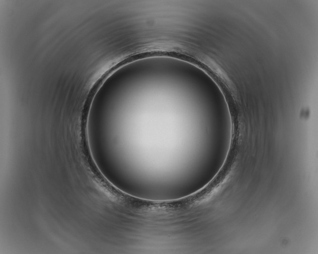 X0000091220834200708161655