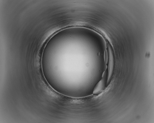 X0000091220835200708161655