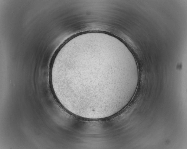 X0000091220836200708161655