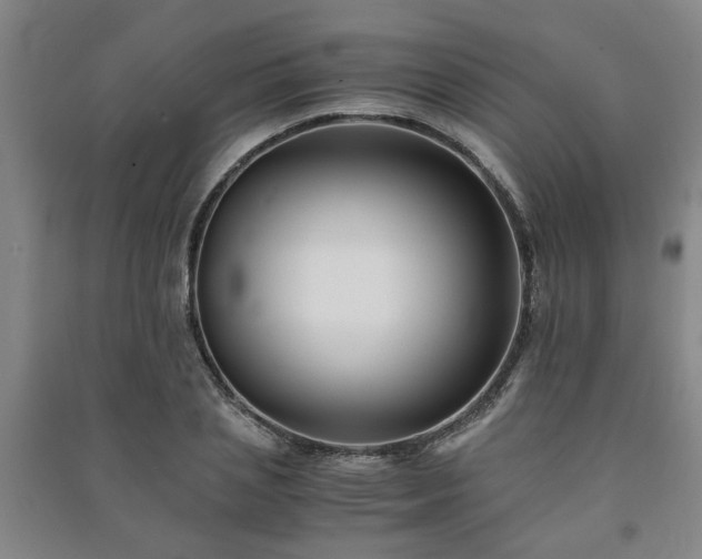 X0000091220837200708161655