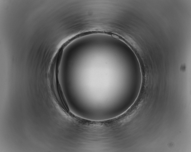 X0000091220838200708161655