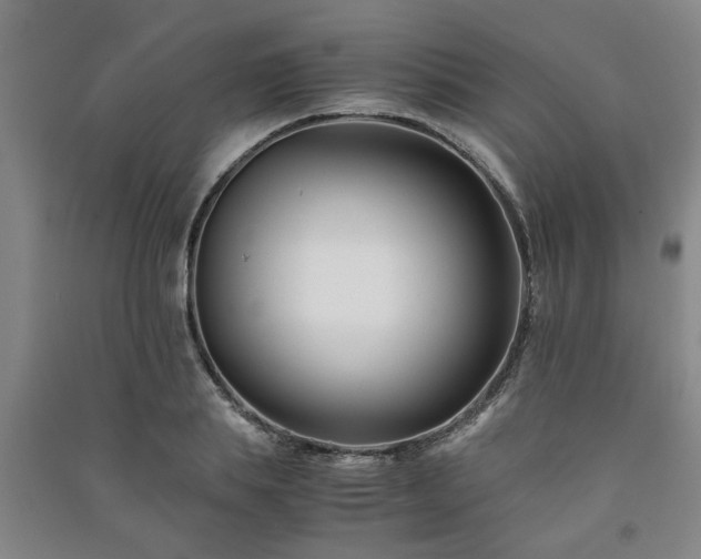 X0000091220839200708161655