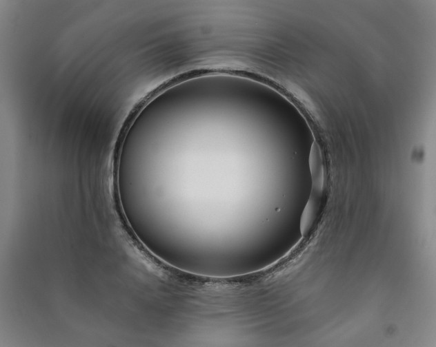 X0000091220840200708161655