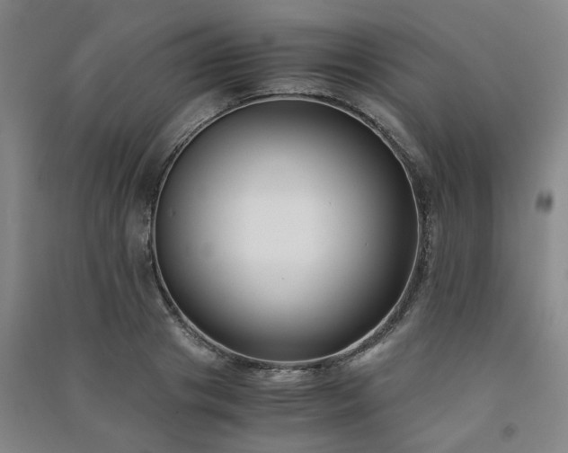 X0000091220841200708161655