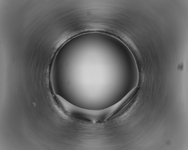 X0000091220842200708161655