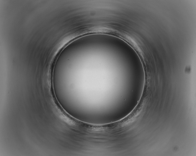 X0000091220843200708161655