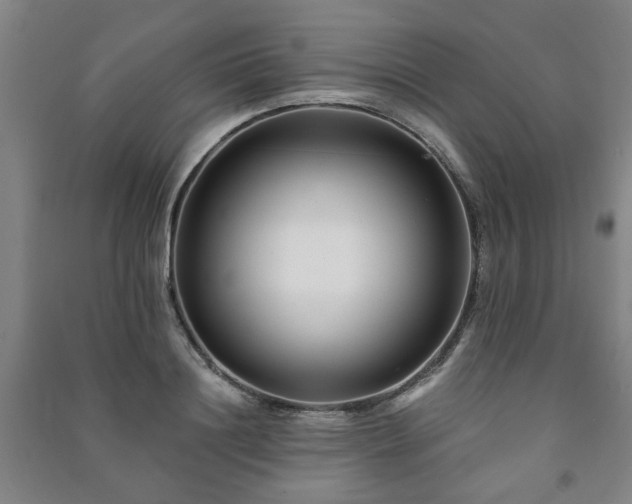 X0000091220844200708161655