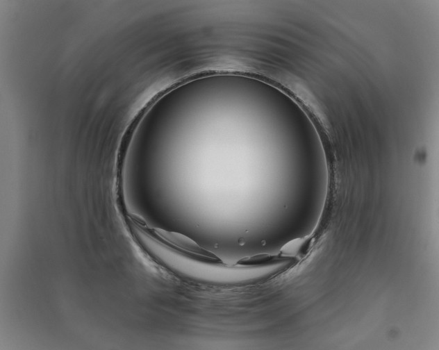 X0000091220845200708161655