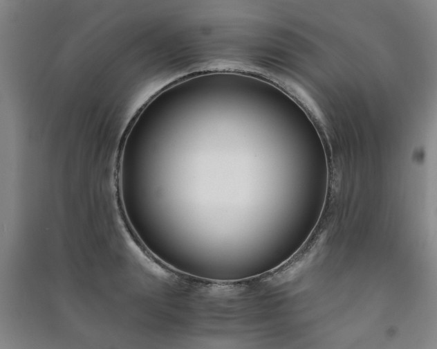 X0000091220847200708161655