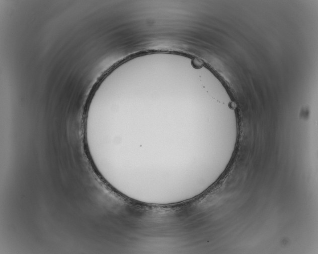 X0000091220848200708161655